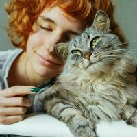 Do cats make good therapy animals? The new trend showing felines may be more complicated than we realise