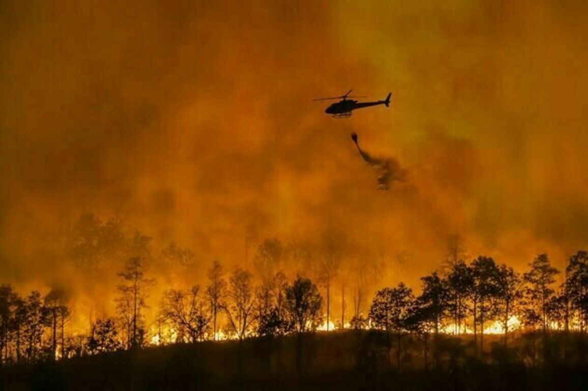 Trump's war on climate science is pushing us into a dystopian future