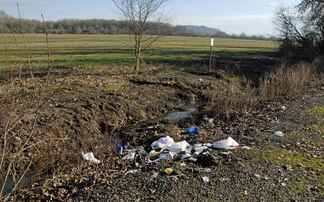 Animals are suffering due to littering, says animal welfare charity 