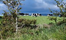 Ireland leads the way with EU carbon farming framework