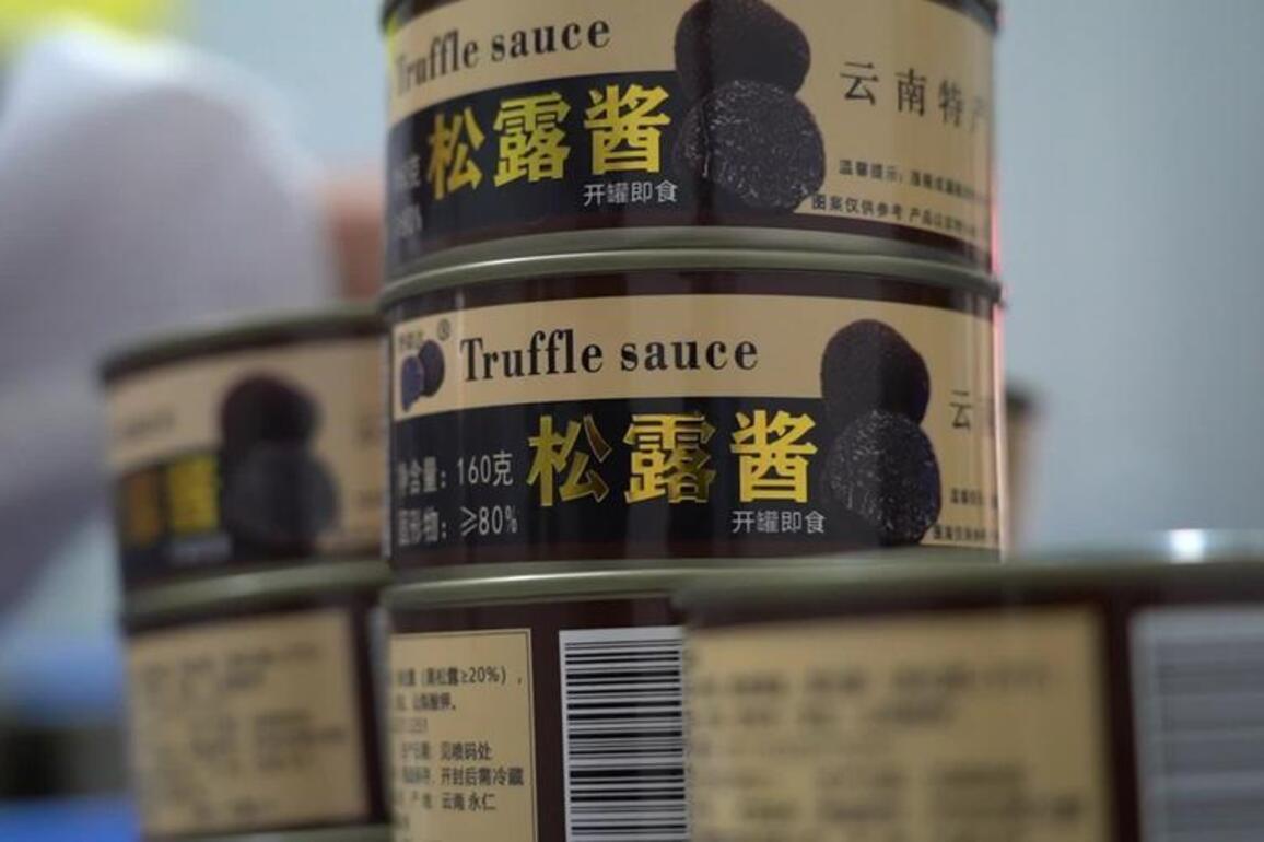 Yunnan truffle becomes globally-prized "Chinese specialty"