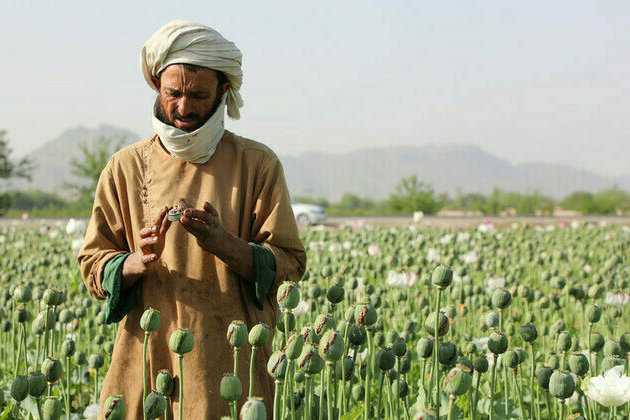 Addicts, mullahs, and meth: Inside Afghanistans harsh war on drugs