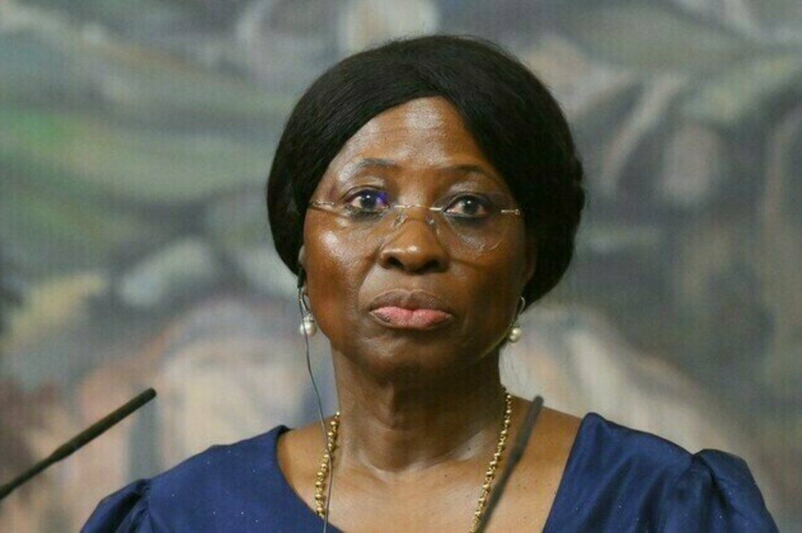 Everything stolen from Africa must be returned  Mozambican FM