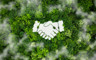 Advisers' Sustainability Group questions FCA over sustainable advice views