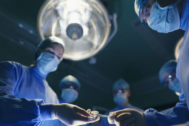 Researchers make move on animal organ transplant for humans media