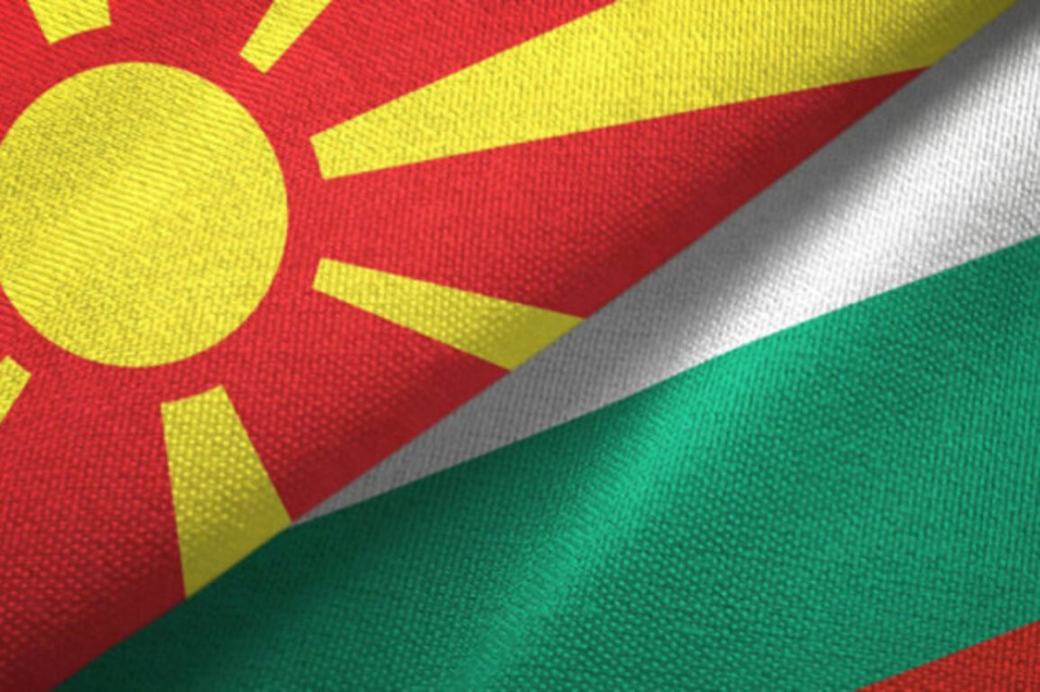 Bulgaria Funds Autism Centers in North Macedonia