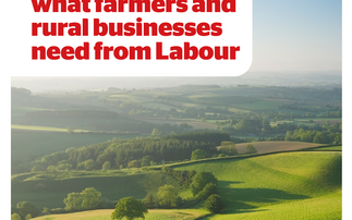 Podcast: FG manifesto: 100 days in - what do farmers and rural businesses need from Labour?