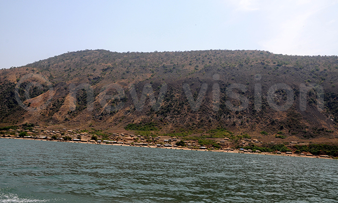 Environment report for Kingfisher oil projects ready Environment report for Kingfisher oil projects ready