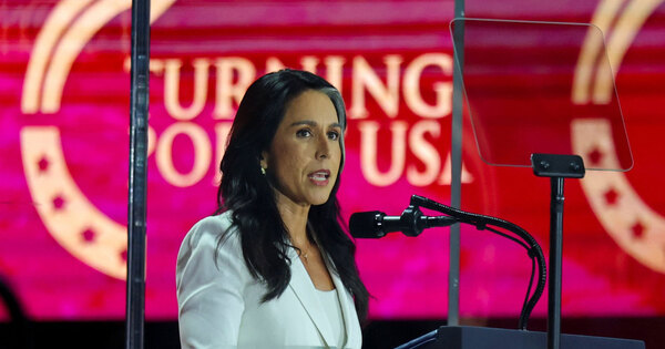 US DNI Gabbard says strategy of "regime change" over, foreign policy fuelled rise of "Islamist terrorist groups"