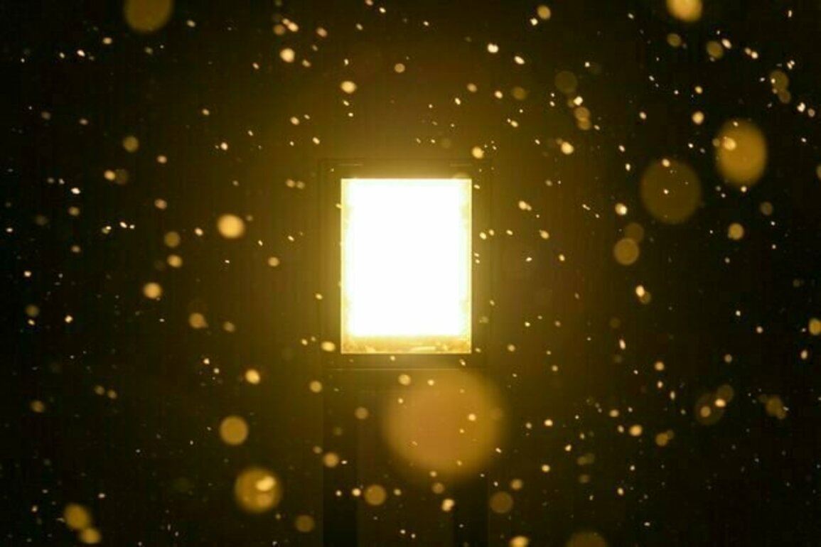 Physicists at the Large Hadron Collider turned lead into gold - by accident