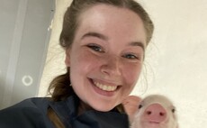 Young Farmer Focus - Lily Brown: "Our country would grind to a halt without farmers"