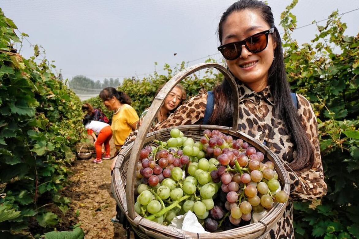 Old crafts, new industries reshape towns in north China