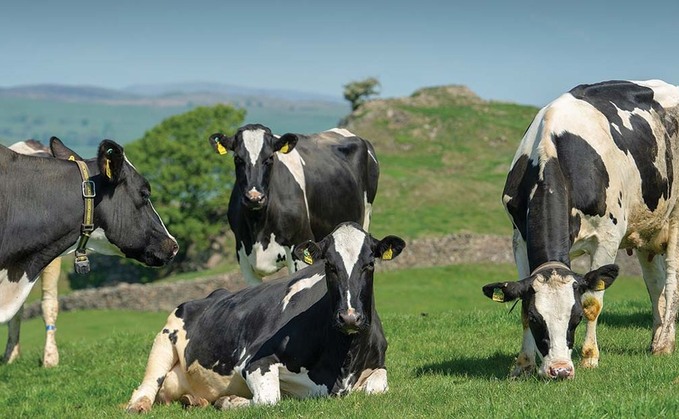 'Urgent Government action' needed to protect dairy sector from irreversible damage, warns farming unions