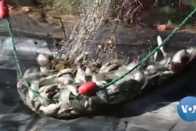Kenyan Pastoral Communities Embrace Fishing