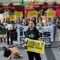 EcoWaste Coalition, PAWS Push "Iwas PapuToxic" to Protect Animals, Public Health, and the Environment Ahead of New Year's Eve