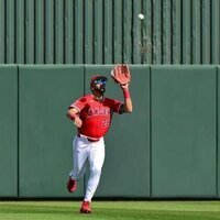 Angels select OF Jose Siri, option Bryce Teodosio