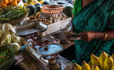 ResponsAbility hits $173m first close on Asia food fund