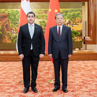 CHINA-BEIJING-ZHAO LEJI-GEORGIAN PARLIAMENT SPEAKER-TALKS (CN)