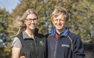 Tenants transform Cornish farm with 850-calf dairy beef system