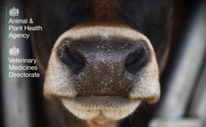 Partner Insight: Sharpening our focus on AMR in livestock: the Private Laboratories Initiative