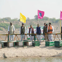 MP CM Mohan Yadav releases 10 crocodiles at National Chambal Gharial Sanctuary on Chambal river