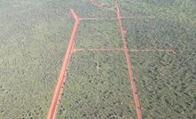  Thunderbird bore fields