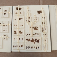 U.S.-WASHINGTON, D.C.-ANCIENT SILK MANUSCRIPTS RETURNED TO CHINA
