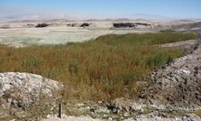 Fitoestab is a phytostabilisation methodology to stabilise and improve the physicochemical characteristics of tailings