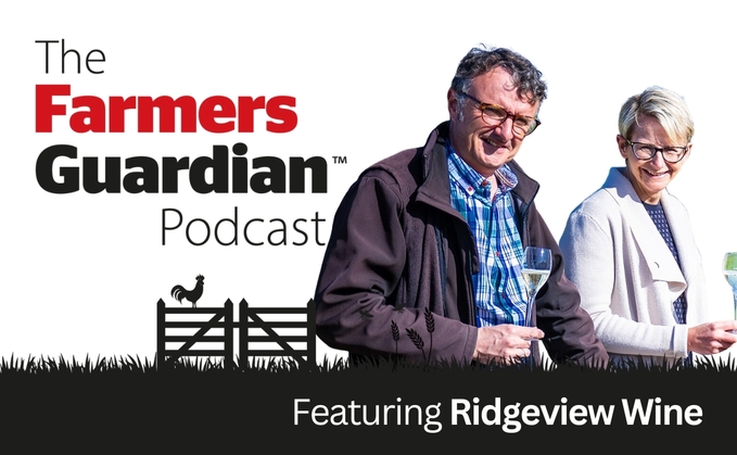 ļֱ podcast: Ridgeview wine on a growing English wine industry