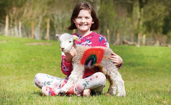Young shepherdess pays tribute to NHS with 'rainbow lamb'