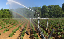 Living with water highs and lows: How farmers are learning to harvest floodwater