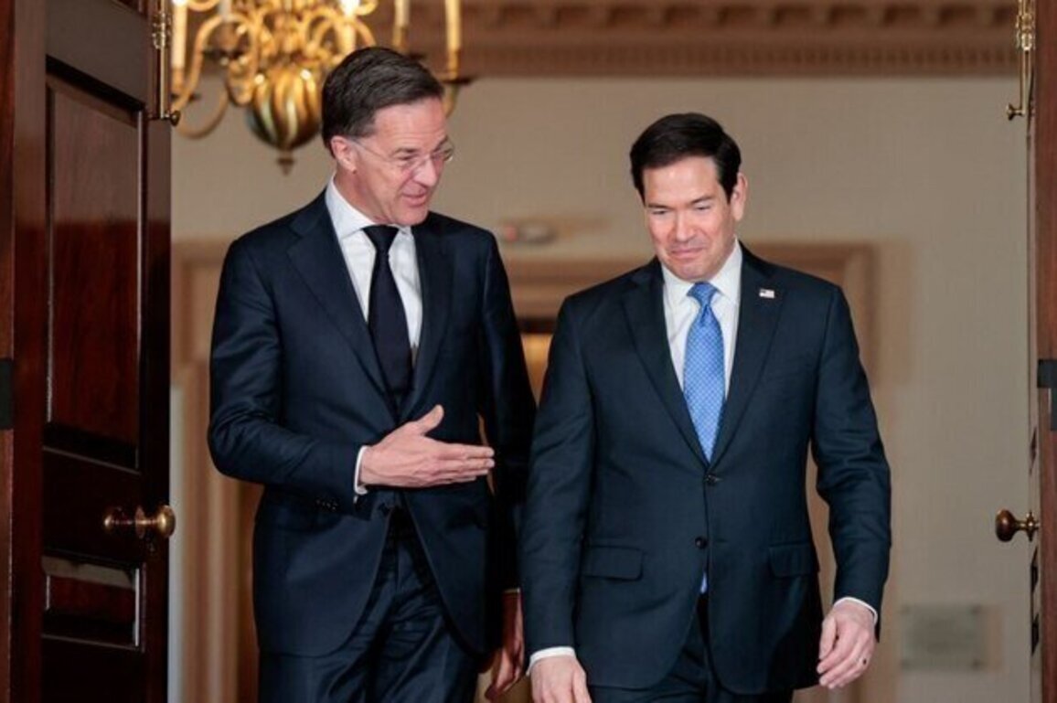 Wider Europe Briefing: What Now For NATO