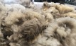 Wool Industry Medal nominations now open