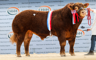 Record average at Carlisle