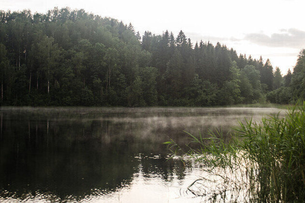 Drone crashes into lake in Baltic state 