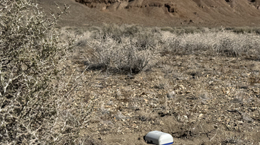 Explor has deployed the first Accel drop nodes on a seismic survey