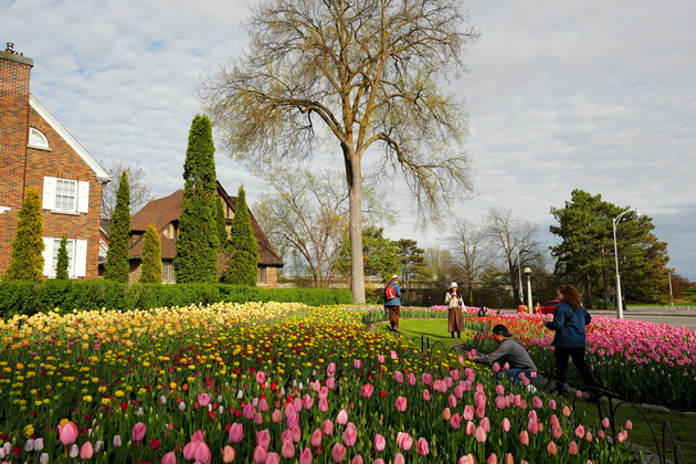 CANADA-OTTAWA-TULIP-FESTIVAL