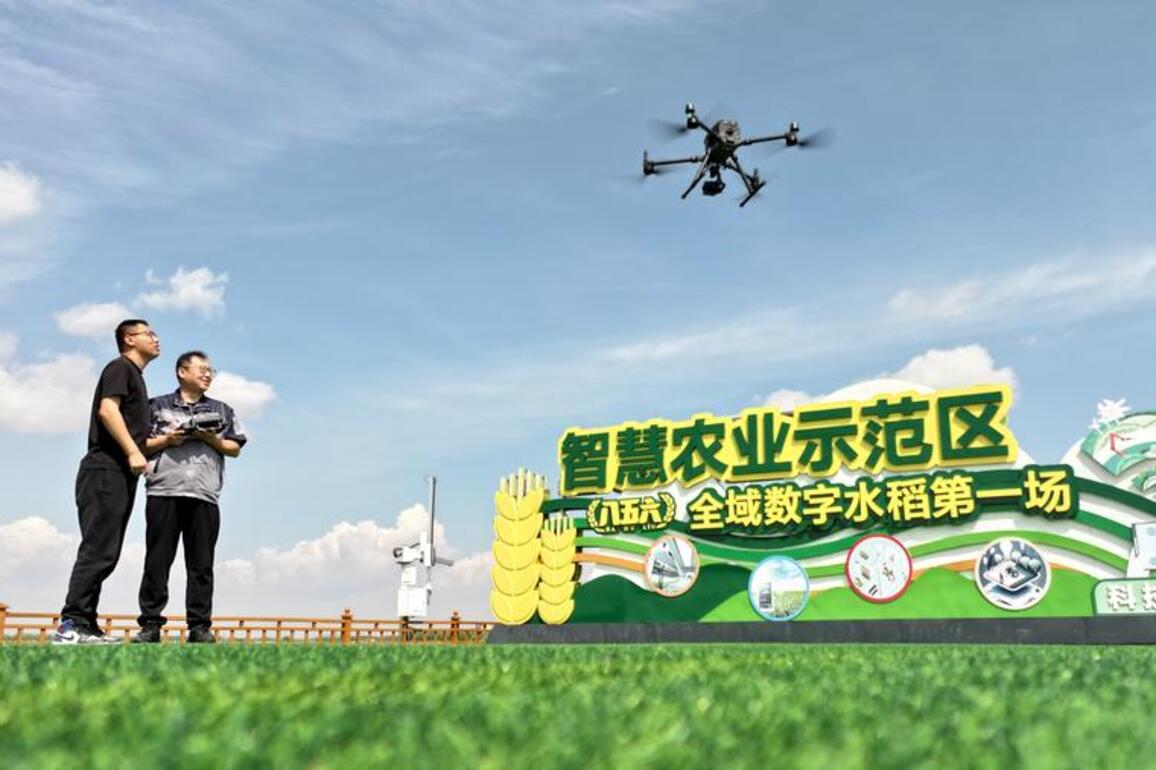 China's agricultural leap from product exports to systemic global integration