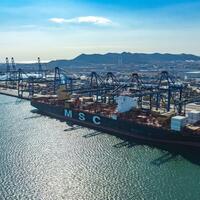 Experts worldwide voice confidence in China's 2025 growth