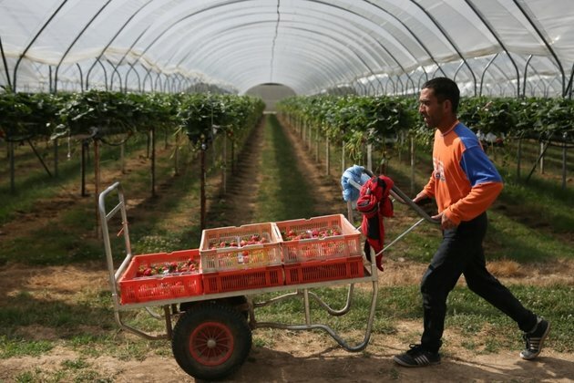Hundreds Of Central Asians Fall Victim To Overseas Jobs Scam