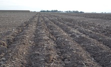 Landholder paid for not clearing land they weren't going to clear