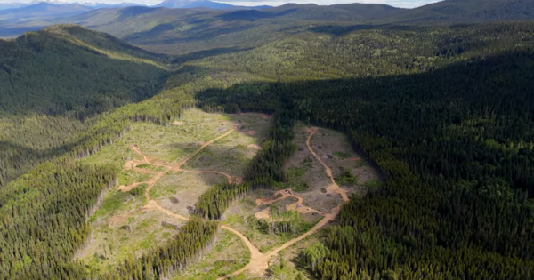 South32 increases investment in American Eagle Gold
