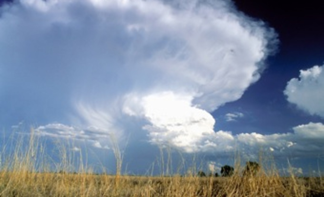 Lithium sector feeling pain