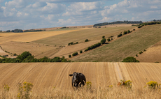 Government offers £65m support to farmers 'at the sharp end of climate change'
