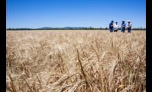  The CSIRO is leading a $90 million research project looking at green house gas emissions from agriculture and other industries. Image courtesy CSIRO.