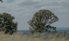 Fingerboards landscape.