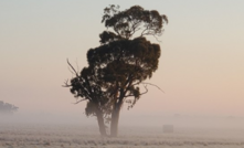  Mawson branched out from Finland into Australia last year