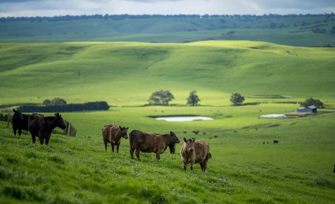 Federal Government announces 54 projects that have received funding to help farmers adopt climate-smart sustainable ag practices. 