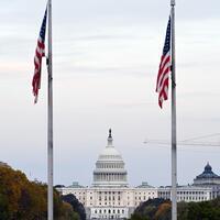 Daily World Briefing, Feb. 11