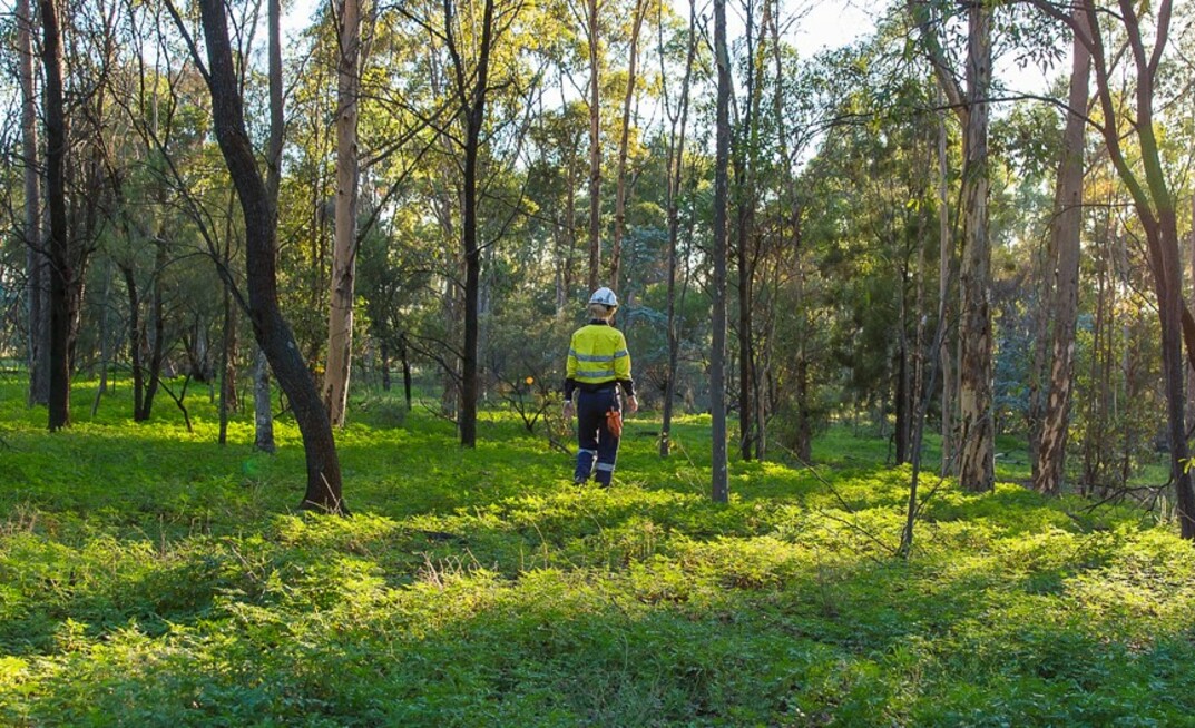 Glencore’s Ulan East Pit Area 2 demonstrates there is a strong regulatory framework in relation to mine rehabilitation in New South Wales. Photo courtesy Glencore